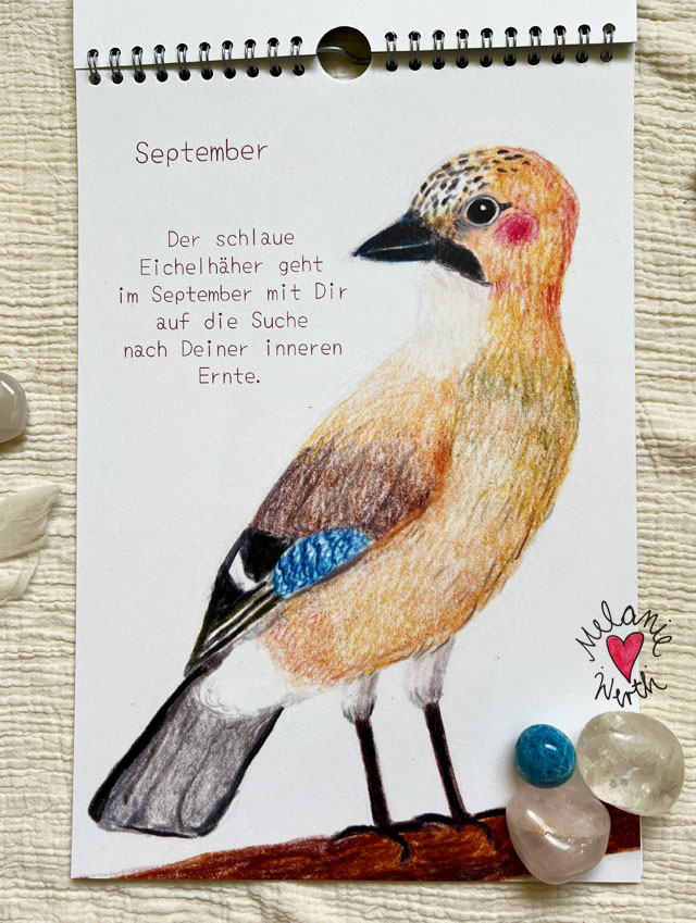 Seelenvogel Eichelhäher, Achtsamkeitskalender mit Seelenvögeln