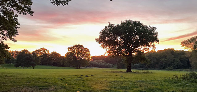 schamanische Reisen, geführte Meditation, Melanie Werth